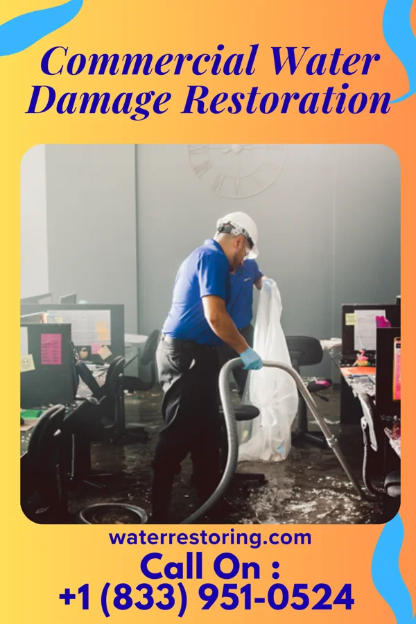 Commercial Water Damage Restoration in Frederickson, WA