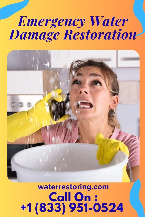 Emergency Water Damage Restoration in Frederickson, WA
